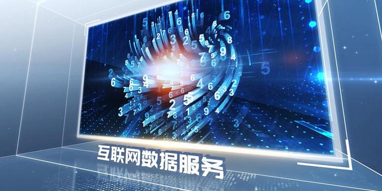 数据洪流中的护航者 深探互联网数据服务的价值与挑战